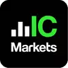 ICM-e1736190439500